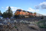 BNSF 7966